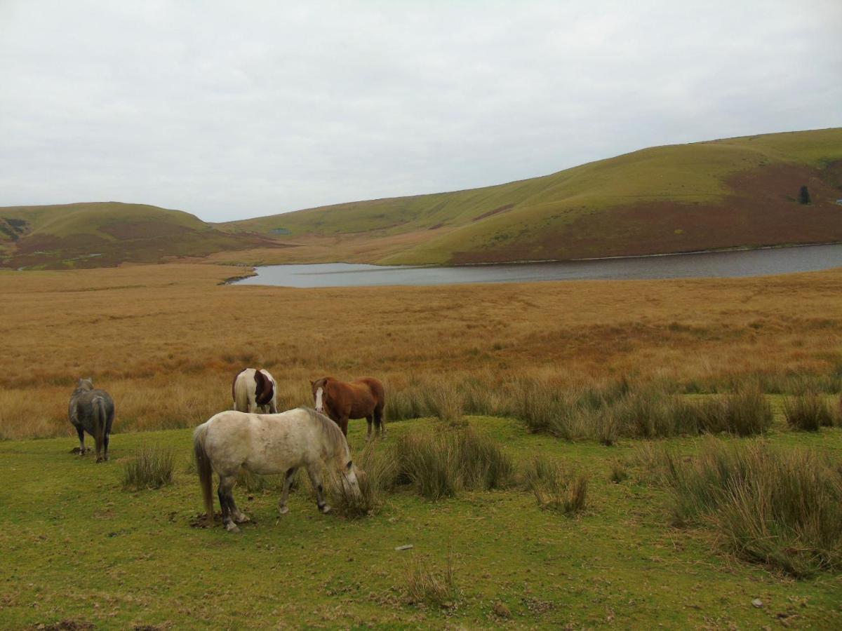 Appartamento Gwilym'S Stable Builth Wells Esterno foto